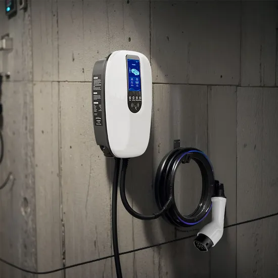 Chargeur de voiture Evse 220 V pour tous les véhicules électriques avec fonctions WiFi/APP/carte RFID