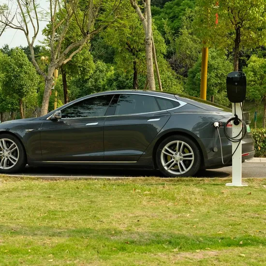 Station murale adaptée aux besoins du client de voiture électrique AC EV de chargeur de boîte murale approuvée par RoHS de Green Science avec APP