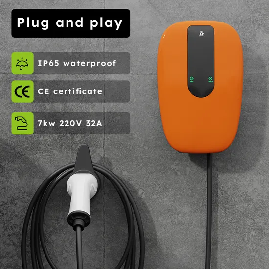 Chargeur EV Type 2 7,2 Kw monophasé avec prise et charge