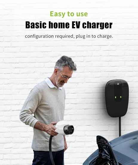 Green Science One Pile avec chargeur de voiture à charge rapide