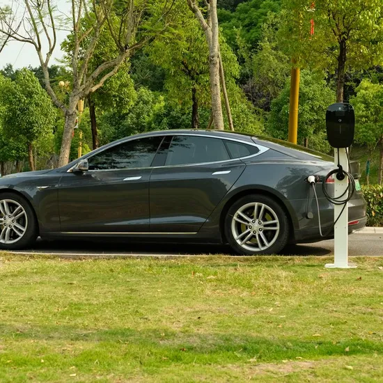 Chine Ocpp Green Science Station de recharge sûre pour véhicules électriques MID Meter en option avec CE