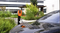 Chargeur intelligent EV Tuya APP 32A 7kw pour un usage domestique