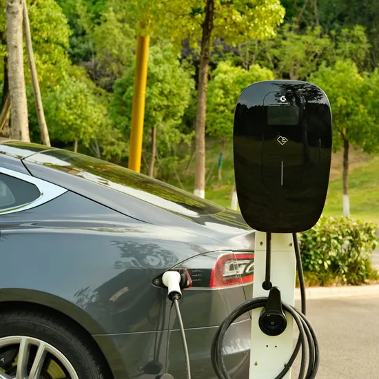 Fabricant de chargeur EV Ocpp Green Science à prise de type niveau 2