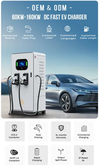 120kw DC EV chargeur CCS2 Gbt double pistolets chargeant les stations de recharge EV pour véhicule électrique