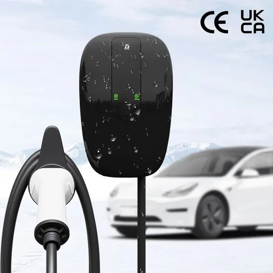 Boîte murale de chargeur OEM Type1/Type2/Gbt EV, Plug and Play, charge rapide avec CE et RoHS