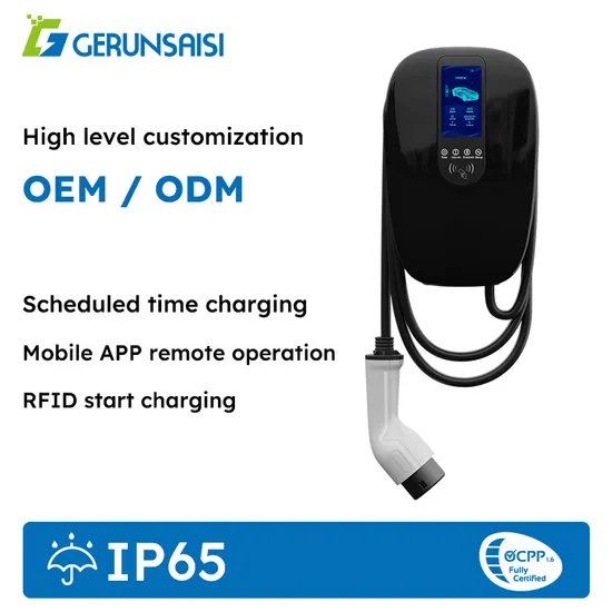Chargeur EV commercial pour tous les utilisateurs avec carte APP/RFID et Ocpp en option